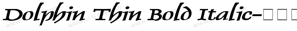 Dolphin Thin Bold Italic字体转换